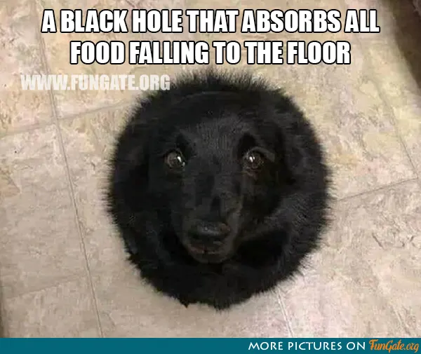 A black hole that absorbs all food