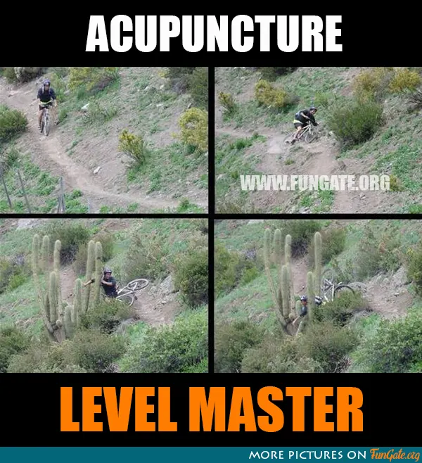 Acupuncture Level Master