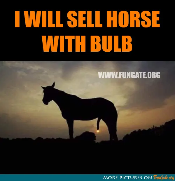I will sell horse with bulb