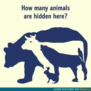 How many animals are hidden here?