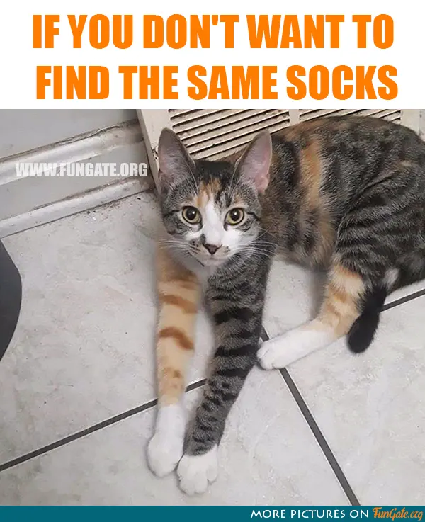 If you don't want to find the same socks