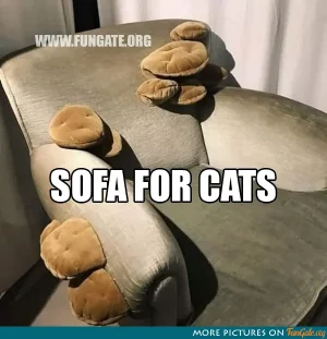 Sofa for cats