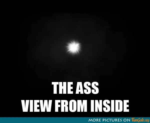 The Ass View from Inside