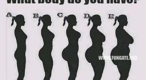 What body do you have?