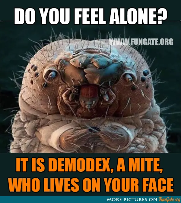 Do you feel alone?