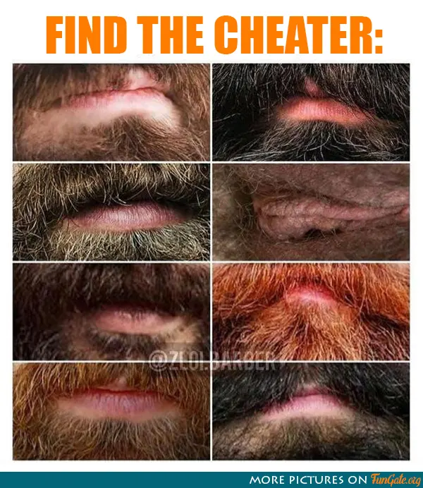 Find the cheater: