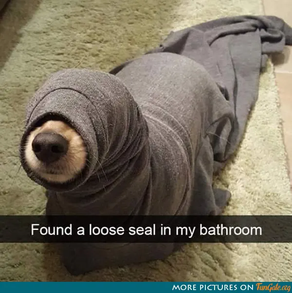 Found a loose seal in my bathroom