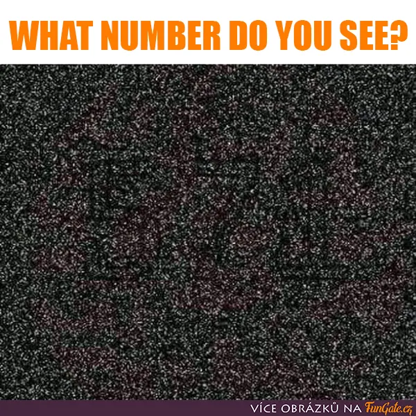 What number do you see?