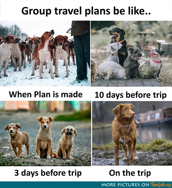 Group travel plans be like...