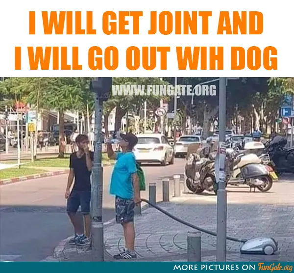 I will get joint and I will