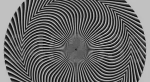 Optical illusion shows hidden number