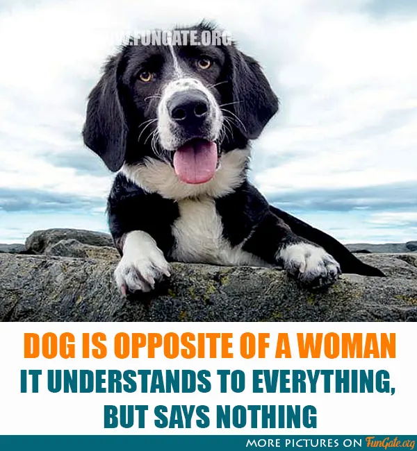 Dog is opposite of a woman