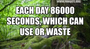 Each day 86 000 seconds, which can