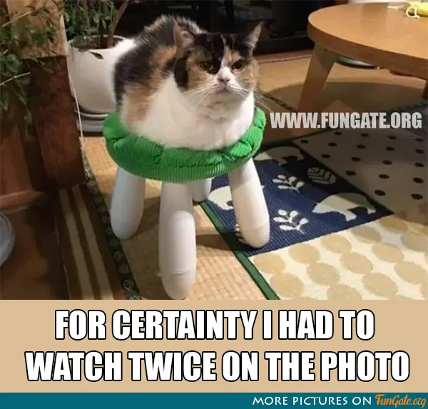 For certainty I had to watch twice