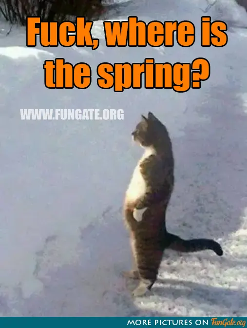 Fuck, where is the spring?