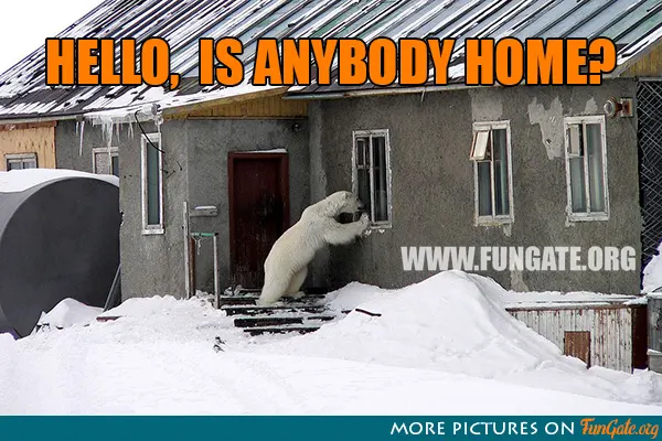 Hello, is anybody home?