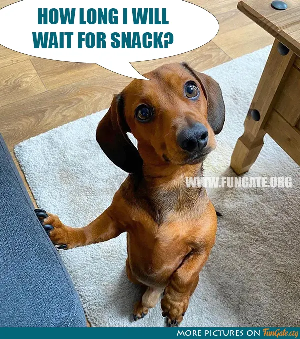 How long I will wait for snack?