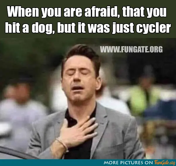 When you are afraid, that you hit a dog