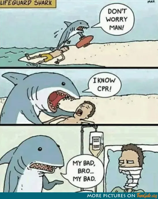 Lifeguard shark