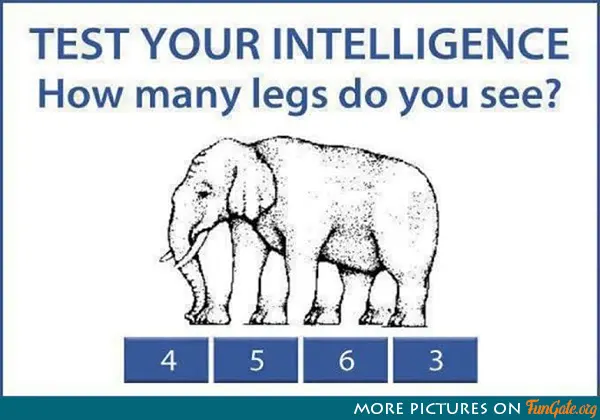 Test your intelligence