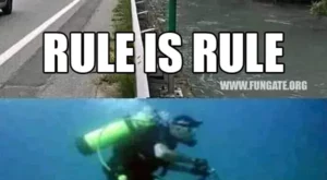 Rule is rule