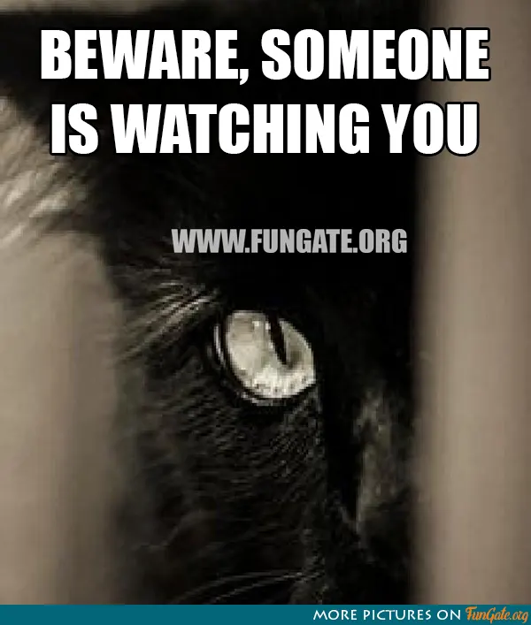 Beware, someone is watching you