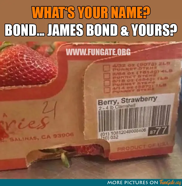 What's your name? Bond