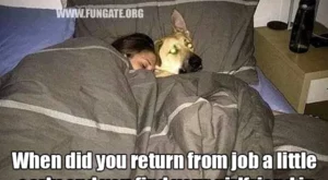 When did you return from job a little