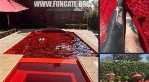 This person decided to paint the bottom of their pool