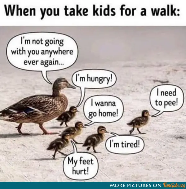 When you take kids for a walk: