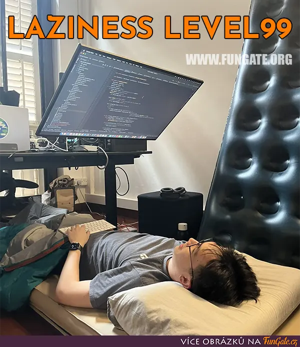 Laziness level 99