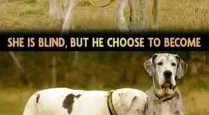 She is blind, but he choose to become