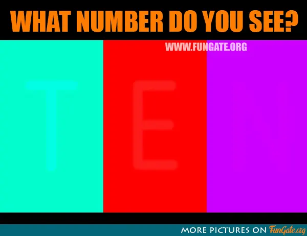 What number do you see?