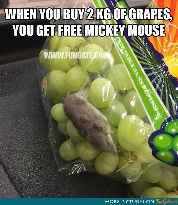 When you buy 2 Kg of grapes, you get free
