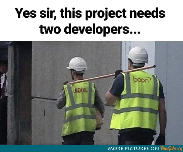 Yes sir, this project needs two developers...