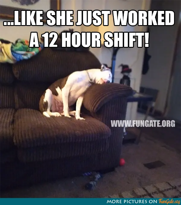 ... Like she just worked a 12 hour shift!