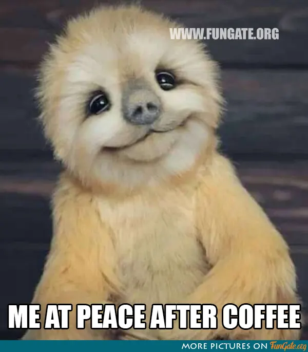 Me at peace after coffee