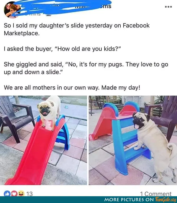 So I sold my daughter's slide yesterday on Facebook Marketplace