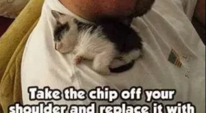 Take the chip off you shoulder and replace