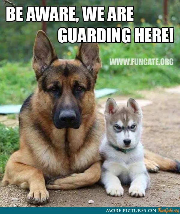 Be aware, we are guarding here