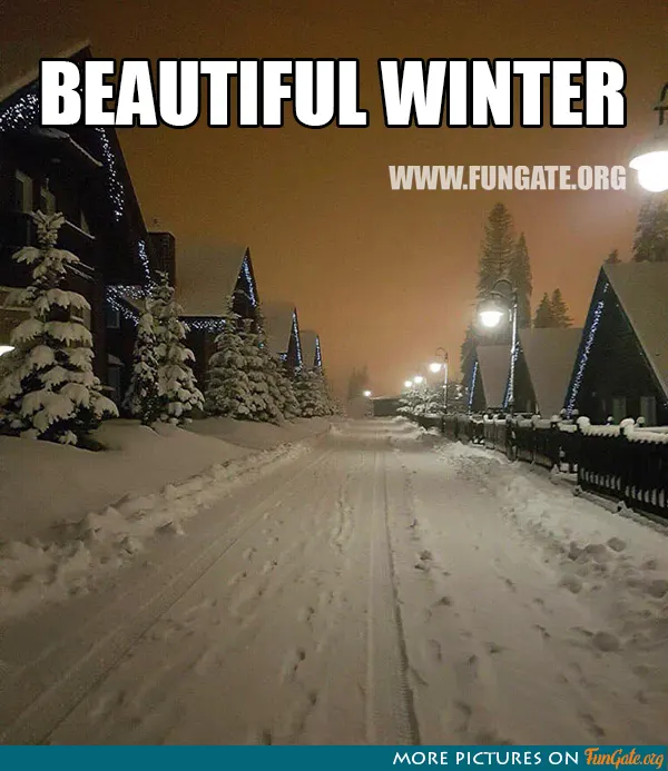 Beautiful winter