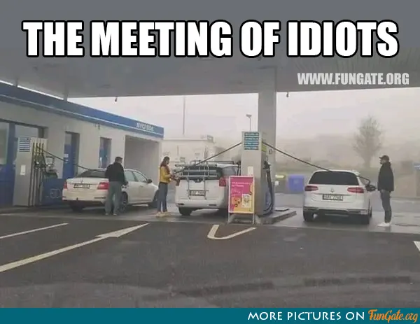 The Meeting of Idiots