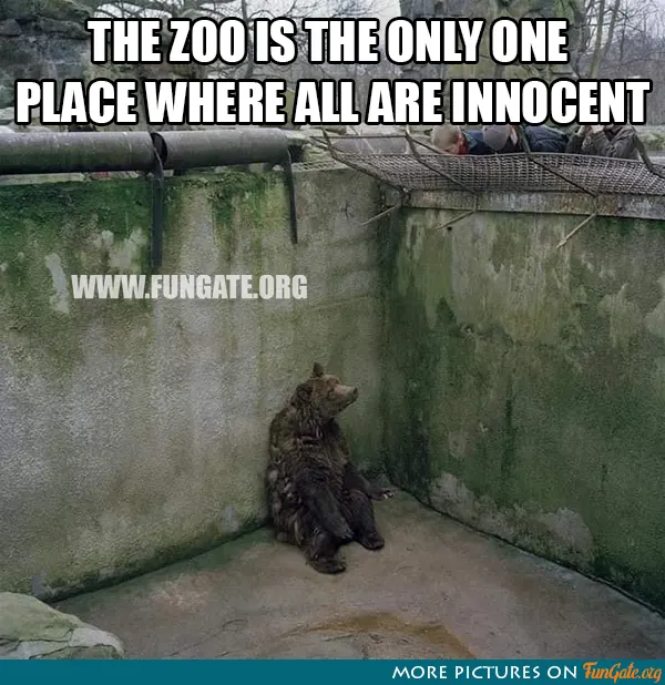 The zoo is the only one place where 