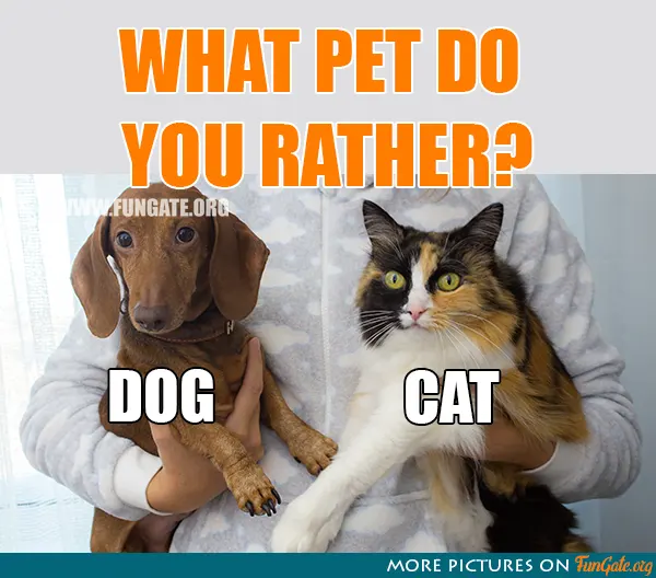 What pet do you rather?