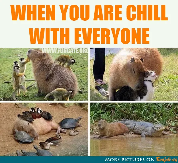 When you are chill with everyone