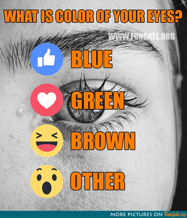 What is color of your eyes?