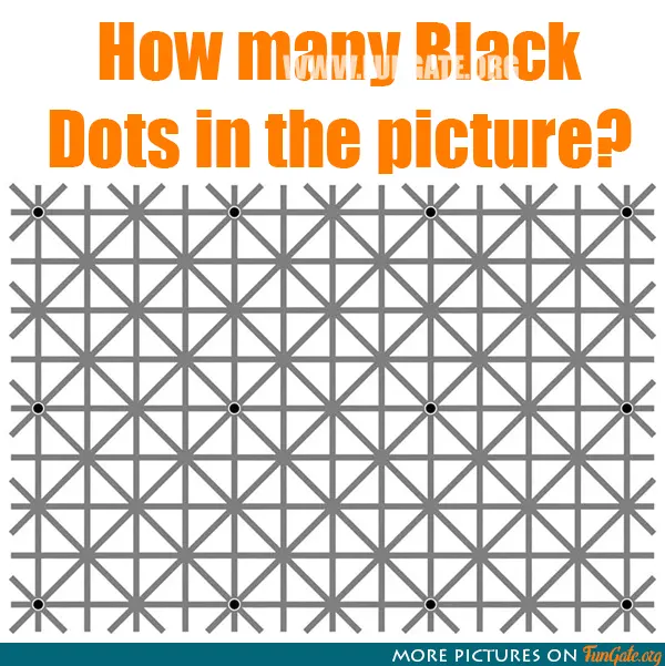 How many Black Dots in the picture?