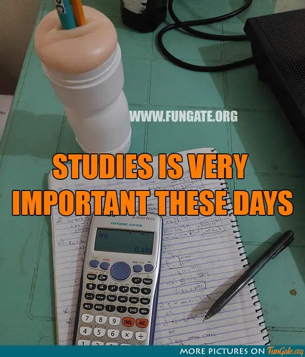 Studies is very important these days