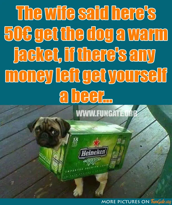 The wife said here's 50€ get the dog a warm jacket