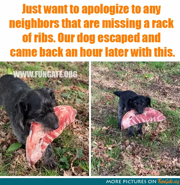 Just want to apologize to any neighbors